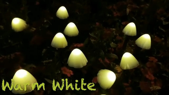 le luci alimentate solari della corda di 2700K IP55 LED/si espandono rapidamente decorazione festiva del giardino di nozze solari delle luci